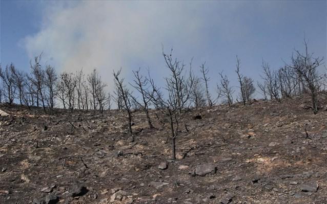 Σε εξέλιξη αλλά με καλύτερη εικόνα οι πυρκαγιές σε Υμηττό, Λακωνία, Μαλακάσα, Κορινθία