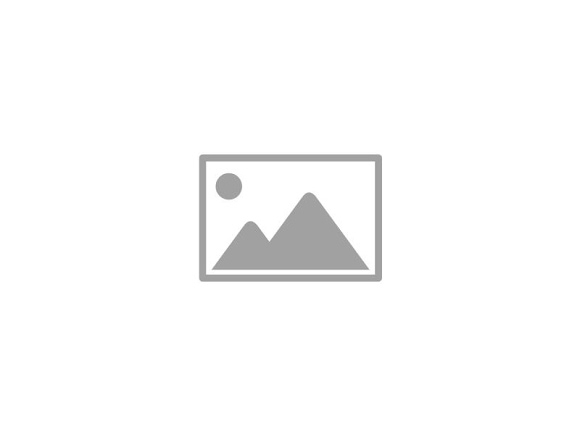 as-orion-logo