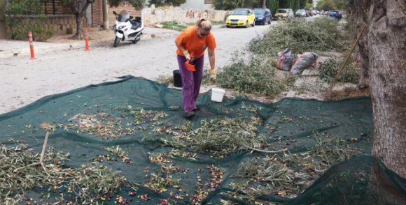 stigmiotipo-plirous-othonis-8112016-123027-mm-bmp