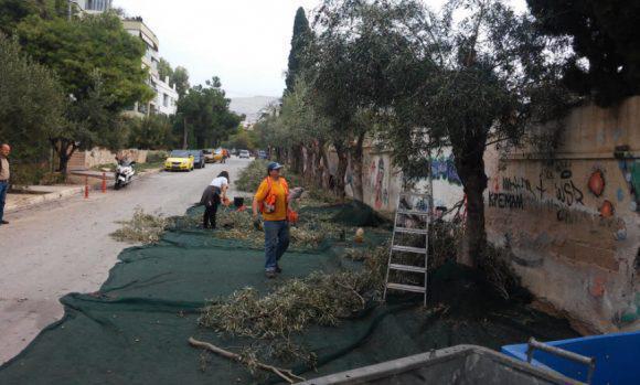 stigmiotipo-plirous-othonis-8112016-122937-mm-bmp