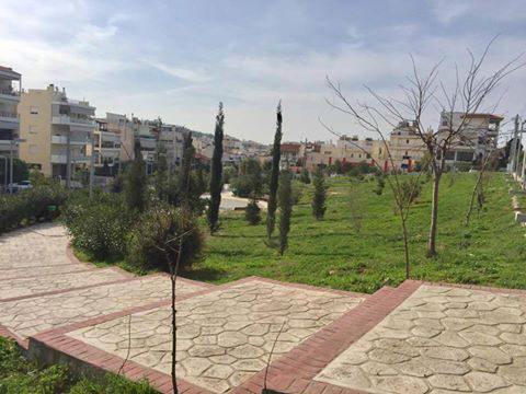 Πρασινίζει ο Άλιμος (ΕΙΚΟΝΕΣ)