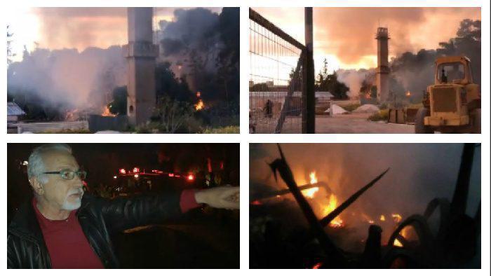 Έτσι σώθηκε ο πνεύμονας πρασίνου του Αλίμου (VIDEO&ΕΙΚΟΝΕΣ)