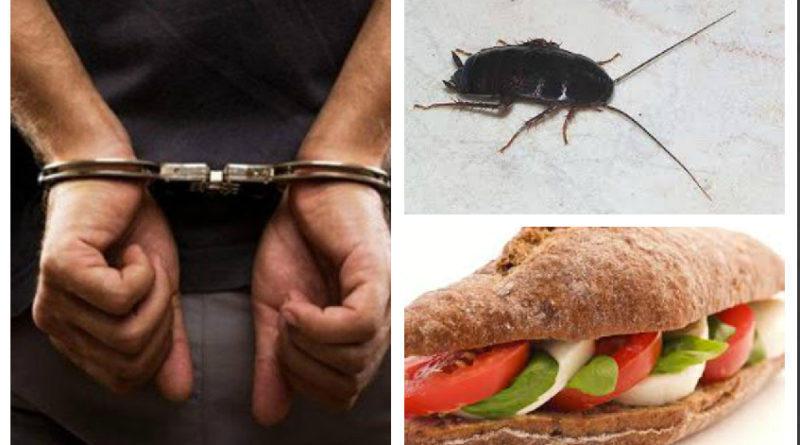 «Eπιχείρηση κατσαρίδα» σε Γλυφάδα και Άλιμο