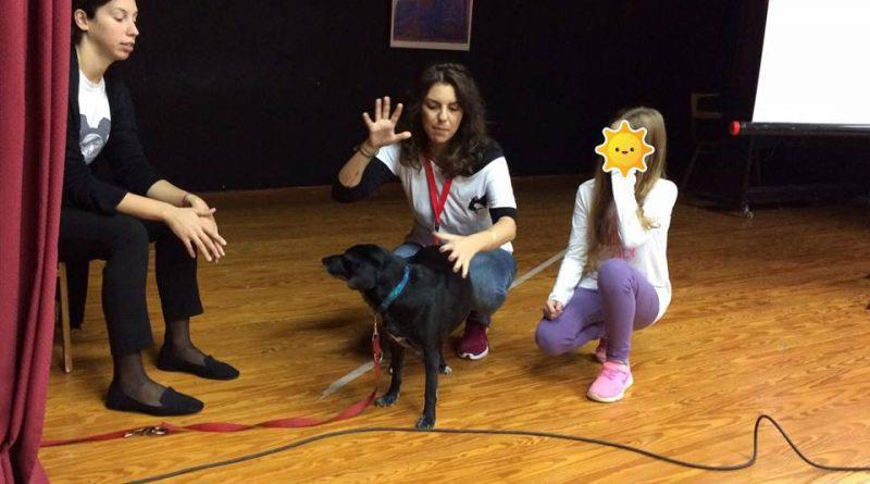 Ζωοφιλική ενημέρωση στο 2ο Γυμνάσιο Αλίμου