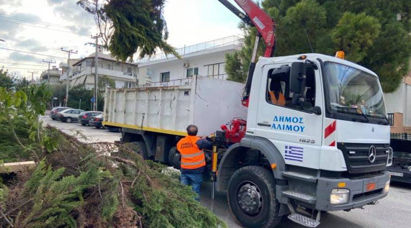 Πάνω από 100.000 ευρώ το κέρδος του Δήμου Αλίμου, από την αποκομιδή καθαρού κλαδιού