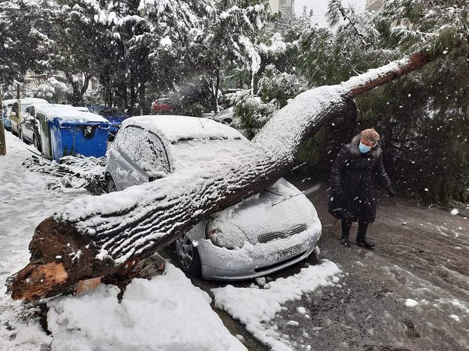 To ευχαριστώ του Κονδύλη στους αντιδημάρχους και τους εργάτες καθαριότητας και πρασίνου