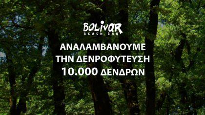 To Bolivar Beach Bar αναλαμβάνει την δεντροφύτευση 10.000 δέντρων