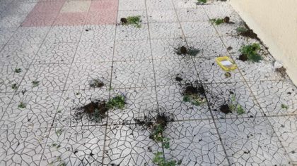 Εκτεταμένοι βανδαλισμοί στον προαύλιο κήπο του Μουσικού Σχολείου Αλίμου