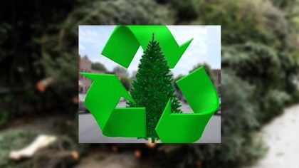 Ο Δήμος Αλίμου επιστρέφει τα χριστουγεννιάτικα δέντρα στη φύση
