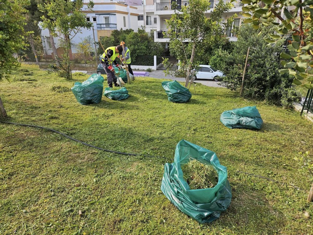 Δήμος Αλίμου: Έρχονται πρόστιμα σε όσους δεν καθαρίζουν τα οικόπεδά τους εικόνα 2