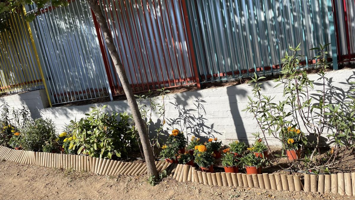 Τα παιδιά του 6ου Δημοτικού Αλίμου έγιναν κηπουροί για μια μέρα! εικόνα 13