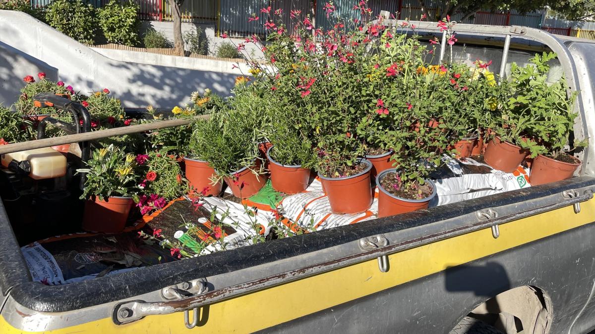 Τα παιδιά του 6ου Δημοτικού Αλίμου έγιναν κηπουροί για μια μέρα! εικόνα 12