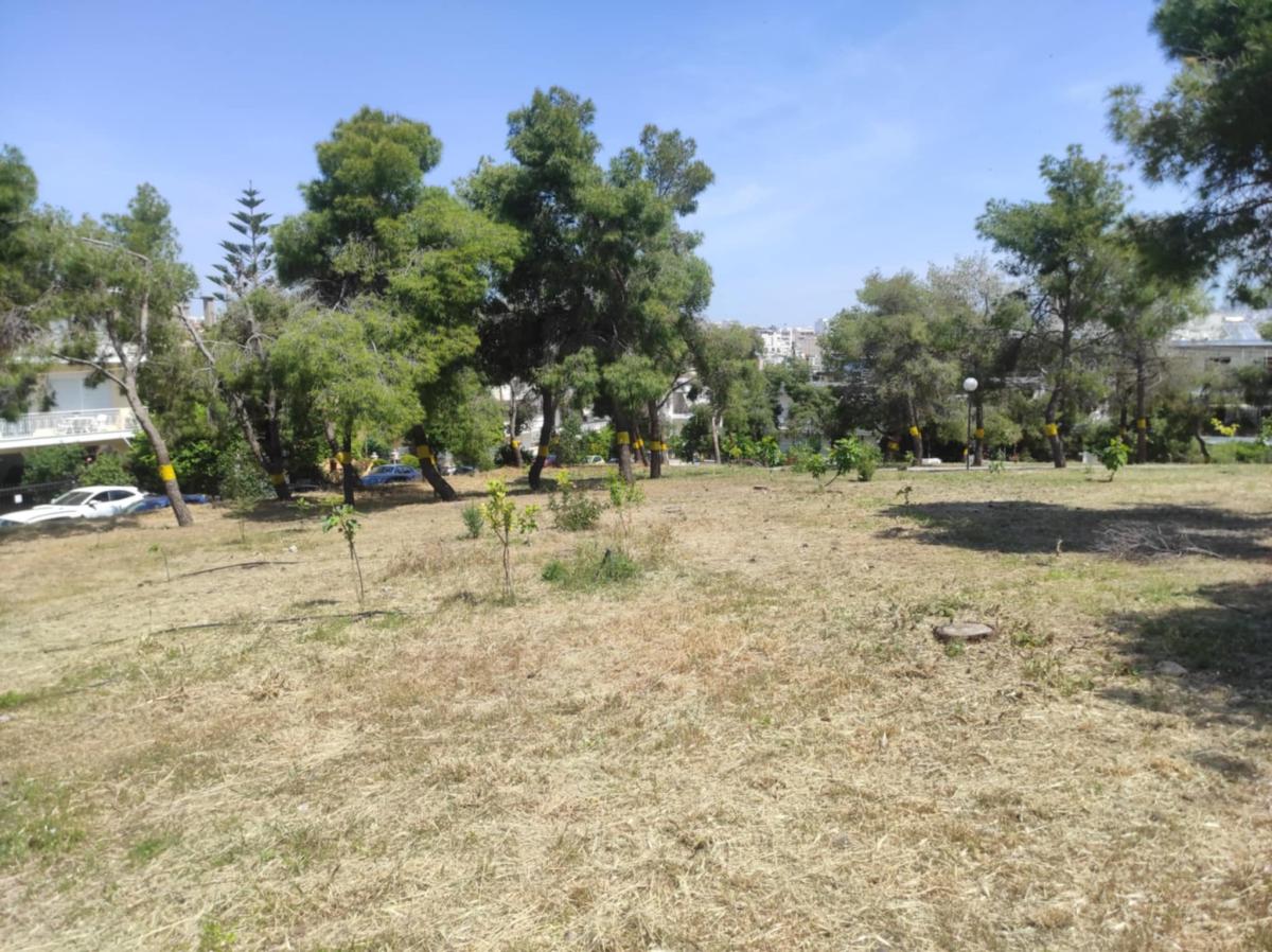 Λόφος Κυθηρίων: Η ιστορία διδάσκει – Πως οι κάτοικοι έσωσαν το “διαμάντι” του Αλίμου (VIDEO&EIKΟΝΕΣ) εικόνα 10
