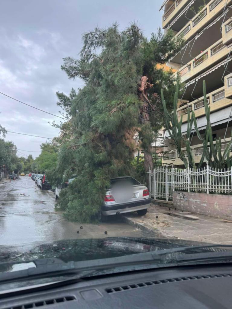 Ξαφνικό μπουρίνι στον Άλιμο: Έπεσαν κλαδιά πεύκου σε αυτοκίνητα (VIDEO&ΕΙΚΟΝΕΣ) εικόνα 4