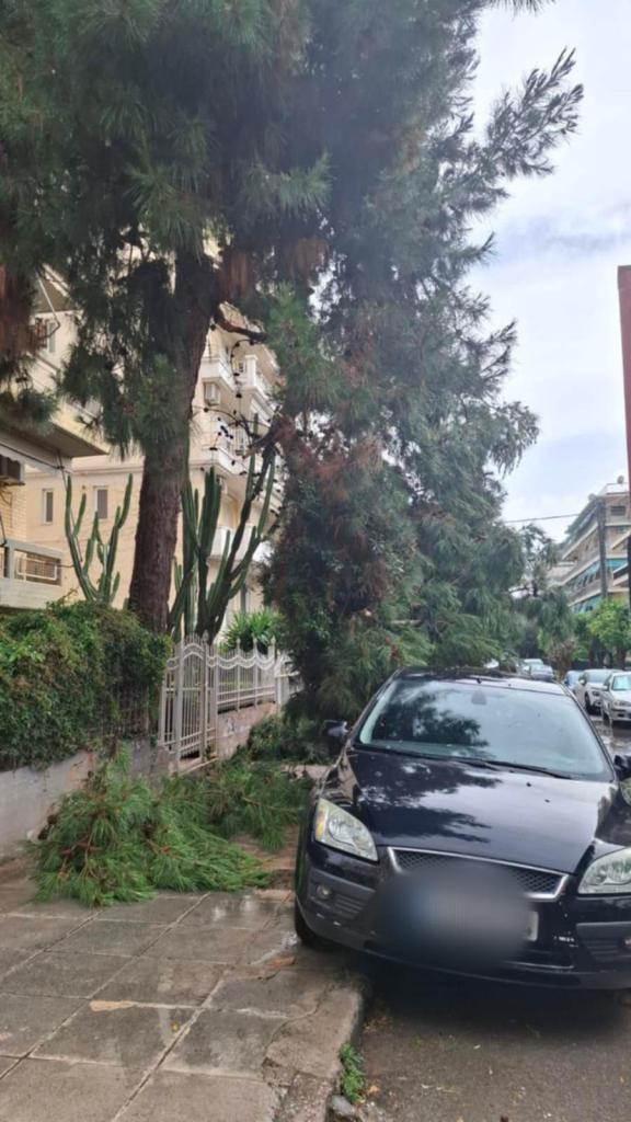Ξαφνικό μπουρίνι στον Άλιμο: Έπεσαν κλαδιά πεύκου σε αυτοκίνητα (VIDEO&ΕΙΚΟΝΕΣ) εικόνα 5