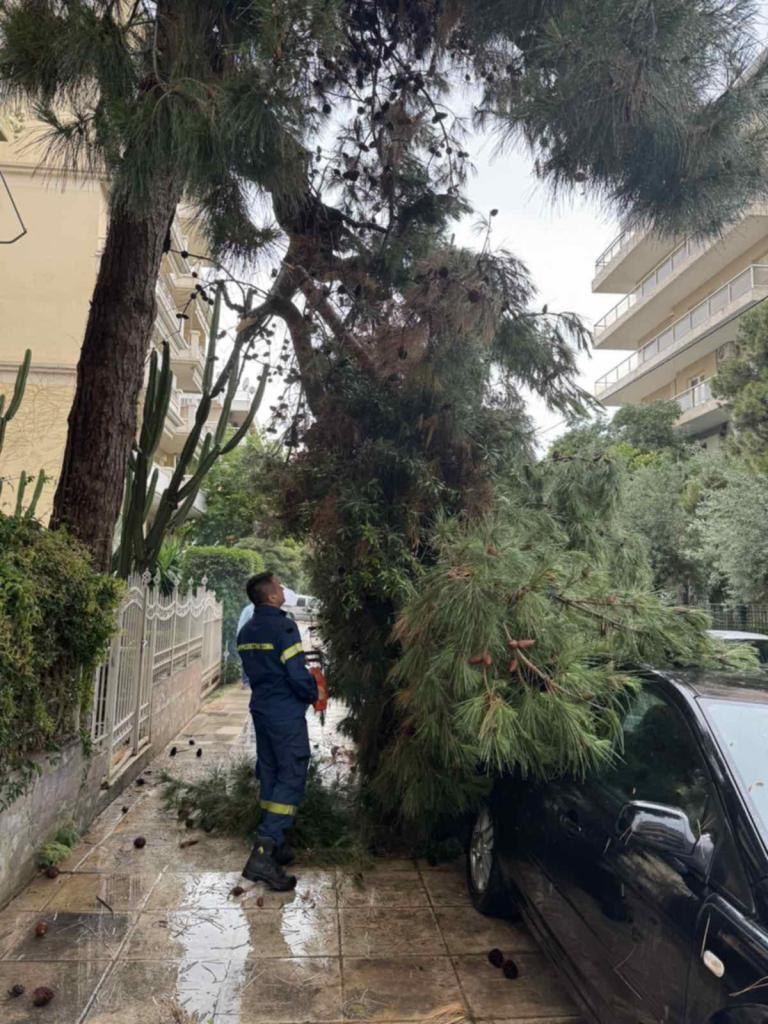 Ξαφνικό μπουρίνι στον Άλιμο: Έπεσαν κλαδιά πεύκου σε αυτοκίνητα (VIDEO&ΕΙΚΟΝΕΣ) εικόνα 3