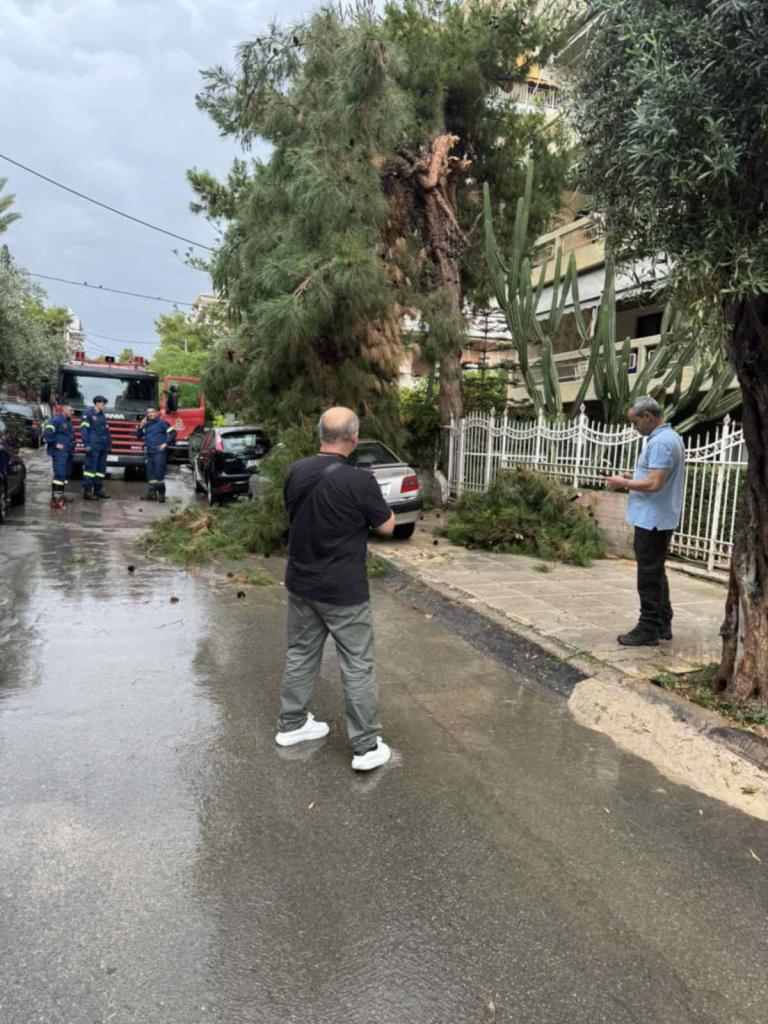 Ξαφνικό μπουρίνι στον Άλιμο: Έπεσαν κλαδιά πεύκου σε αυτοκίνητα (VIDEO&ΕΙΚΟΝΕΣ) εικόνα 2