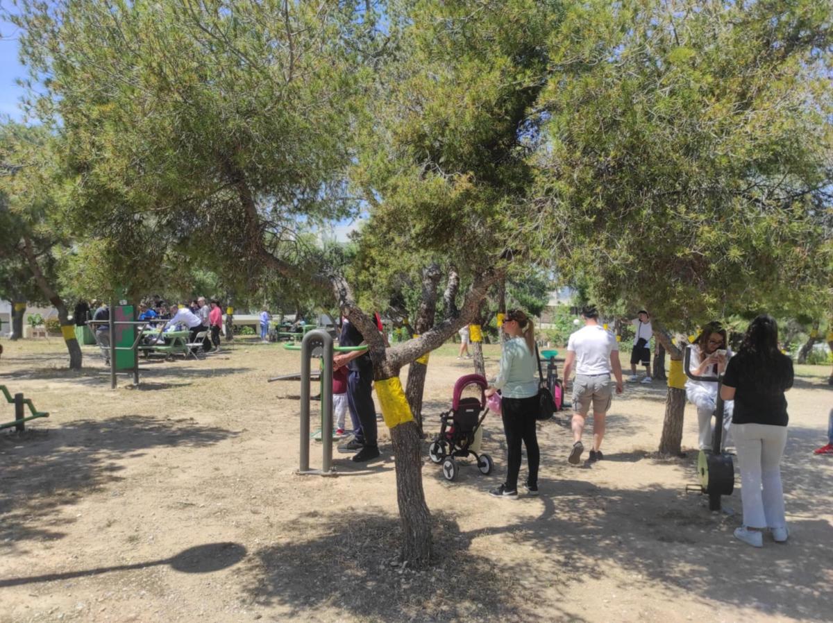 Λόφος Κυθηρίων: Η ιστορία διδάσκει – Πως οι κάτοικοι έσωσαν το “διαμάντι” του Αλίμου (VIDEO&EIKΟΝΕΣ) εικόνα 14