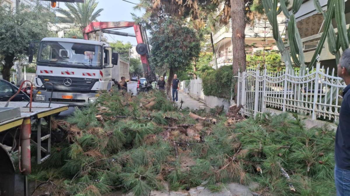 Ξαφνικό μπουρίνι στον Άλιμο: Έπεσαν κλαδιά πεύκου σε αυτοκίνητα (VIDEO&ΕΙΚΟΝΕΣ) εικόνα 1