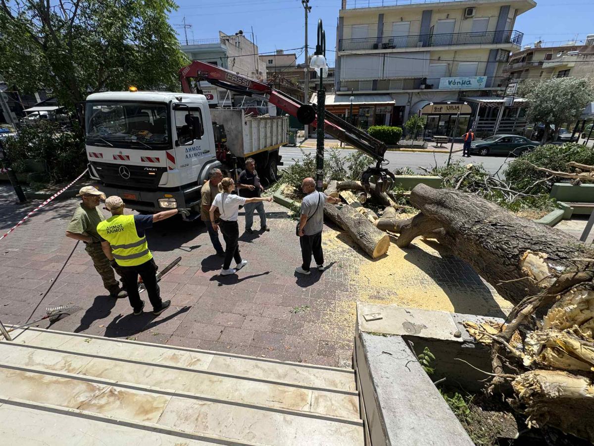 Μεγάλο δέντρο έπεσε από τον αέρα σε πολυσύχναστο πεζοδρόμιο, στον Άλιμο – Ευτυχώς που ήταν Κυριακή (VIDEO&ΕΙΚΟΝΕΣ) εικόνα 1