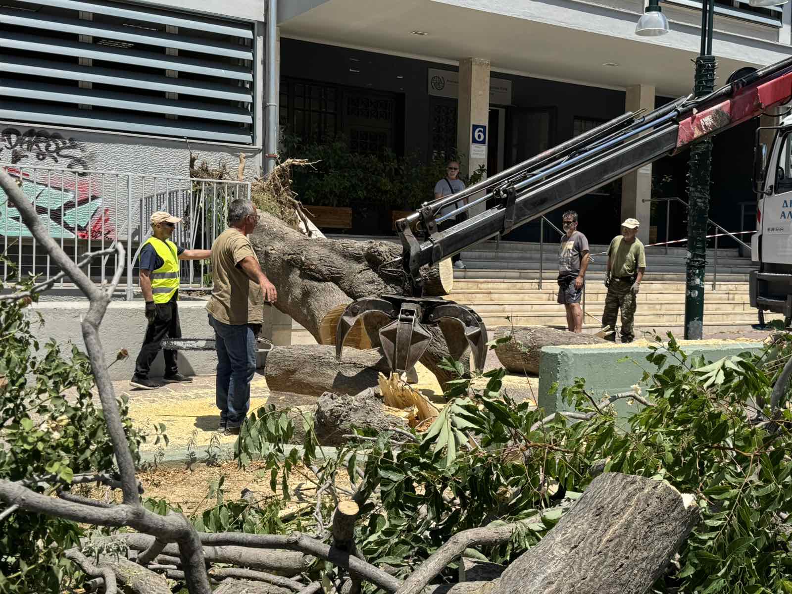 Μεγάλο δέντρο έπεσε από τον αέρα σε πολυσύχναστο πεζοδρόμιο, στον Άλιμο – Ευτυχώς που ήταν Κυριακή (VIDEO&ΕΙΚΟΝΕΣ) εικόνα 4