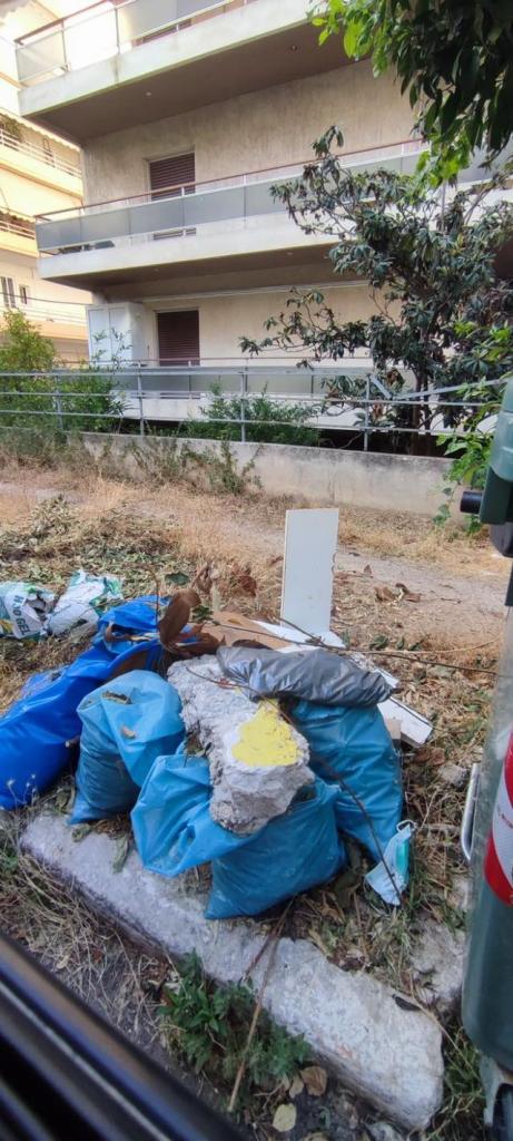 Κονδύλης: Θέλουμε σύμμαχο τον ευσυνείδητο πολίτη στη μάχη για την καθαριότητα εικόνα 8