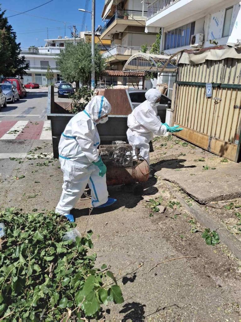 Κονδύλης: Θέλουμε σύμμαχο τον ευσυνείδητο πολίτη στη μάχη για την καθαριότητα εικόνα 16