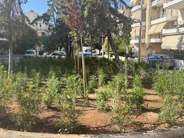 Κονδύλης: Πρασινίζει και ομορφαίνει ο πεζόδρομος Αγίου Δημητρίου (ΕΙΚΟΝΕΣ) εικόνα 9