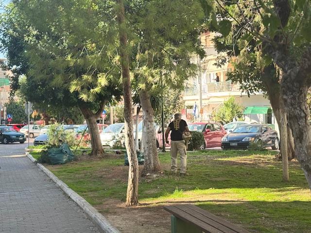 Κονδύλης: Πρασινίζει και ομορφαίνει ο πεζόδρομος Αγίου Δημητρίου (ΕΙΚΟΝΕΣ) εικόνα 3