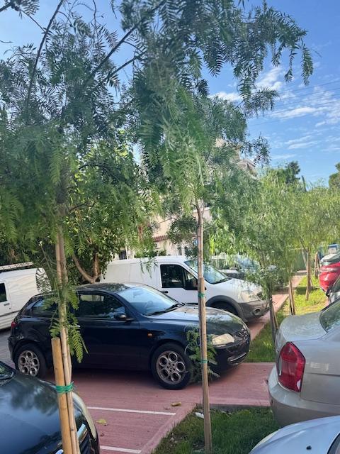 Κονδύλης: Πρασινίζει και ομορφαίνει ο πεζόδρομος Αγίου Δημητρίου (ΕΙΚΟΝΕΣ) εικόνα 5