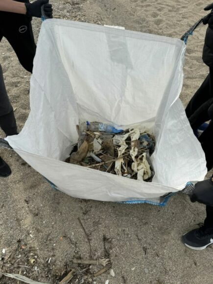 Μάθημα περιβαλλοντικής συνείδησης στην παραλία του Αλίμου από μαθητές εικόνα 5