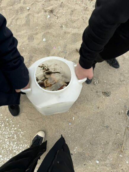 Μάθημα περιβαλλοντικής συνείδησης στην παραλία του Αλίμου από μαθητές εικόνα 2