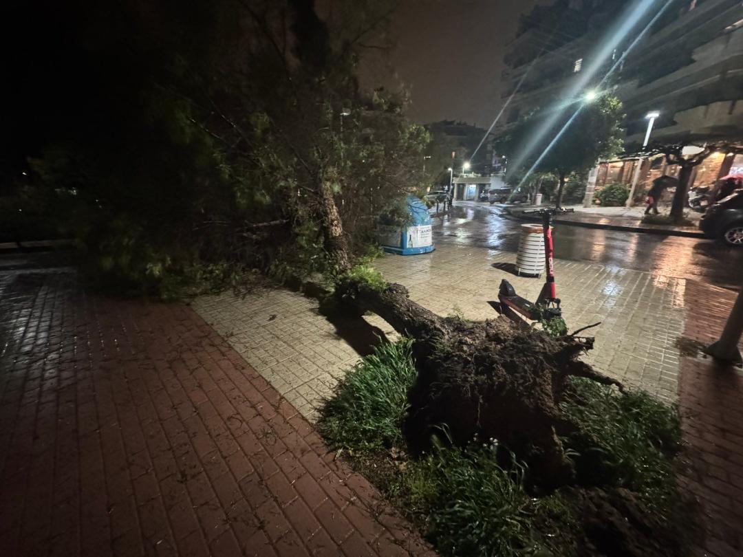 Στο πλευρό των πολιτών ο Δήμος Αλίμου: Το «ευχαριστώ» του Κονδύλη σε εργαζόμενους και εθελοντές εικόνα 5