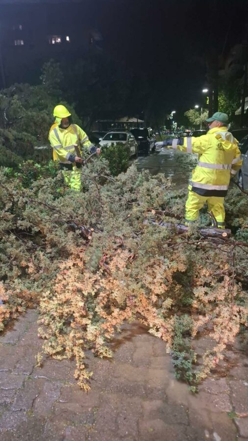 Στο πλευρό των πολιτών ο Δήμος Αλίμου: Το «ευχαριστώ» του Κονδύλη σε εργαζόμενους και εθελοντές εικόνα 2